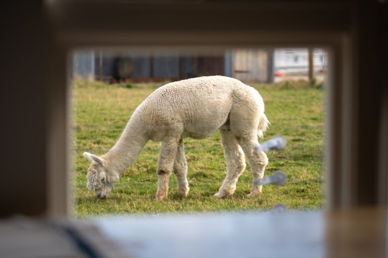 Amalia Studio entrance at Country Lane Frankton